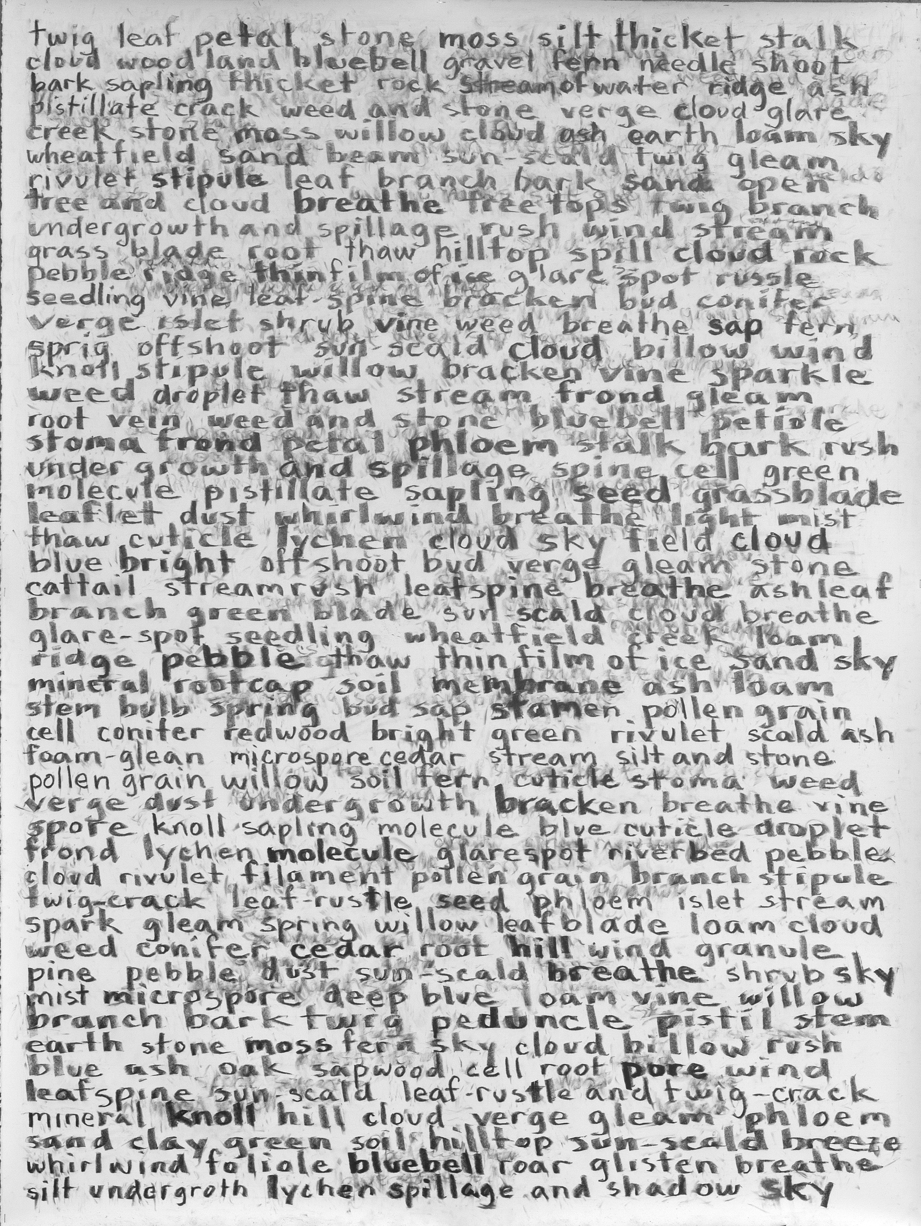 Twig Leaf Petal, 2016, graphite on paper, 155 x 113 cm