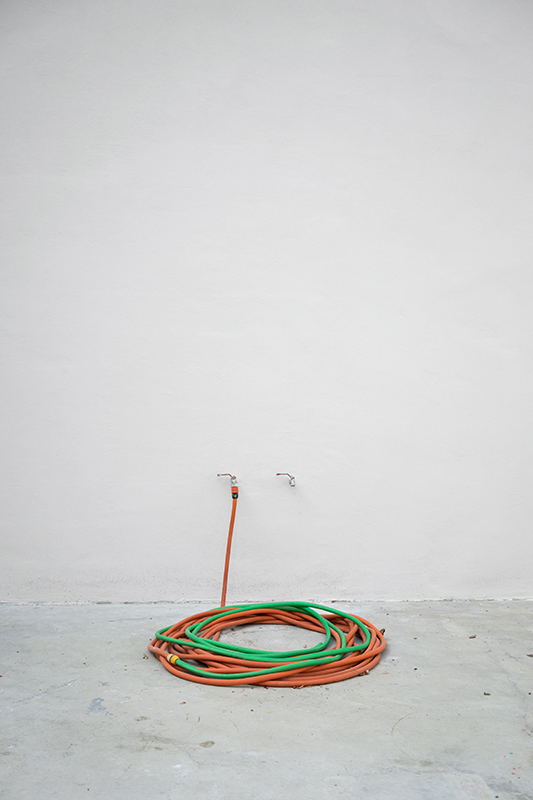 Water Snake, 2016