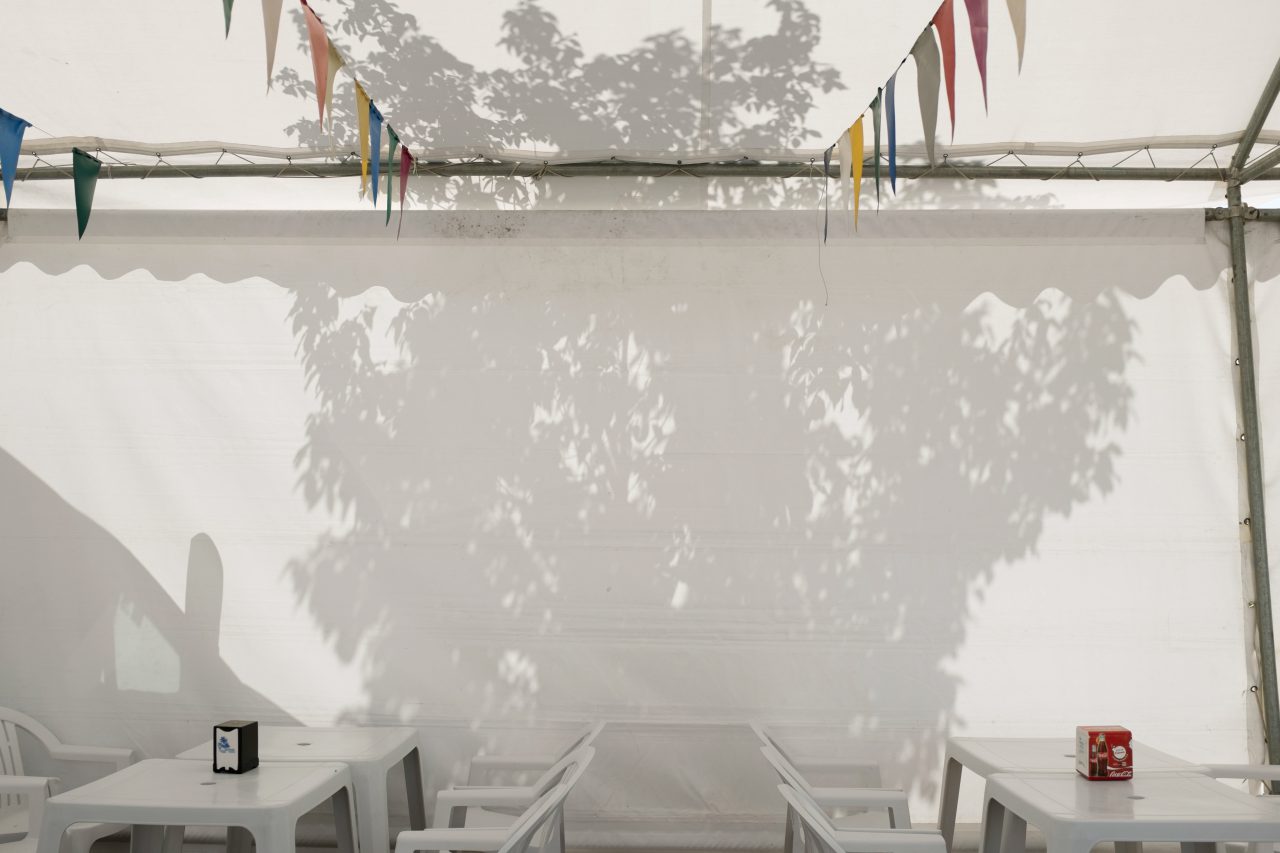 Tree in Tent, 2014