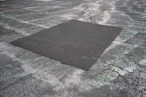 Flight in Puddle Image