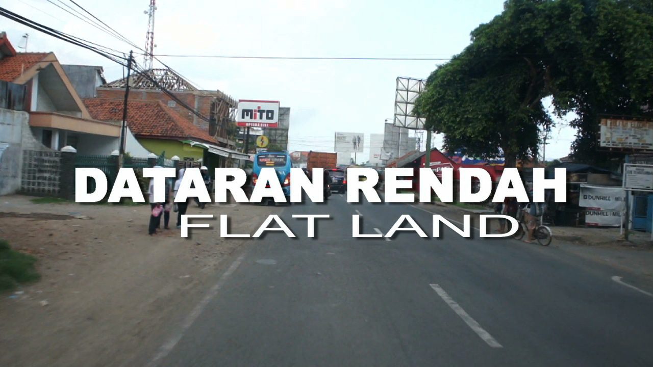 Flatland II