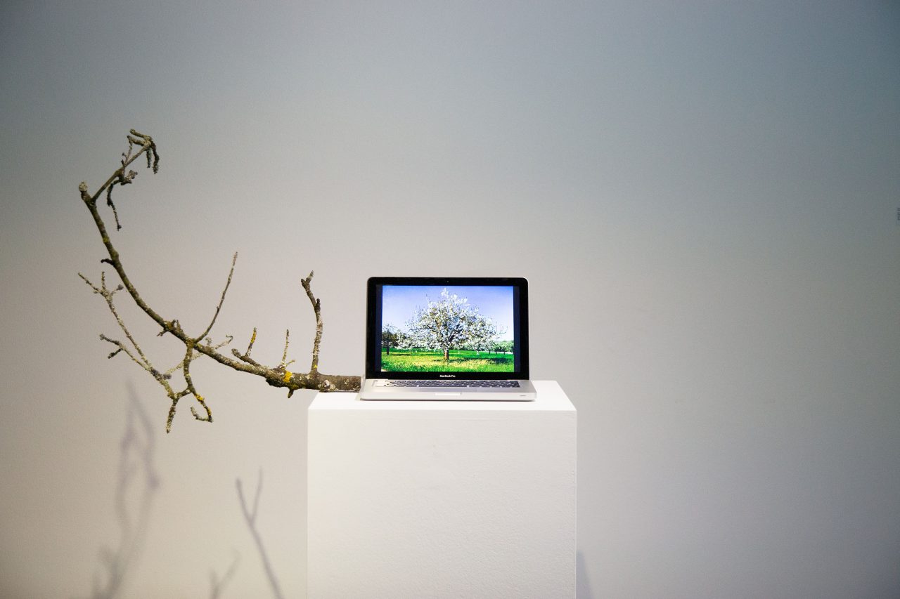Exhibition »Second Nature«, House of Electronic Arts Basel, 2015/2016