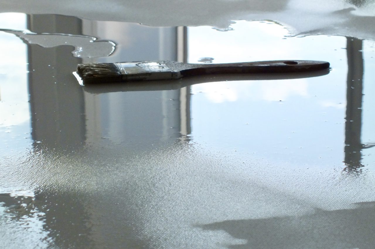 Katharina Worring Main Profile Image