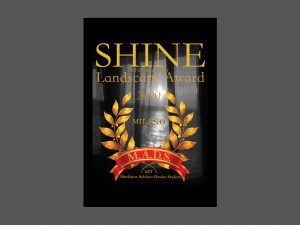 SHINE LANDSCAPE AWARD  International Contemporary Art Exhibition February, 28 2020 – March 20, 2020 Image