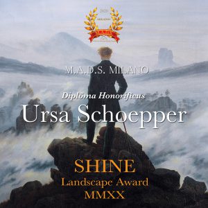 Diploma Honorificus, Shine, Landscape Award 2020 Image