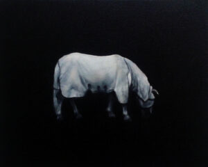Paard / Horse / Cheval | Jeroen Witvliet | available artwork