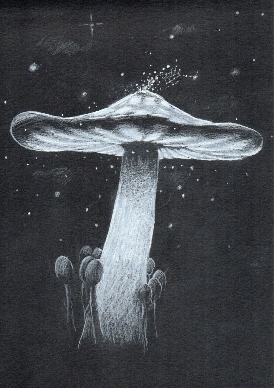"Mushroom II", 2023, DIN A4, white pencil on black paper