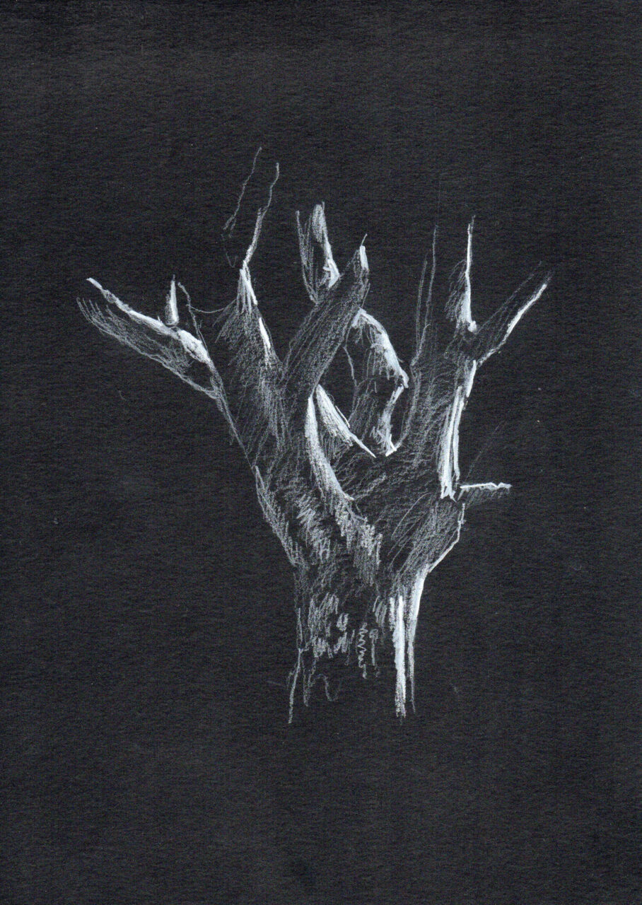 "Tree", 2023, DIN A4, white pencil on black paper