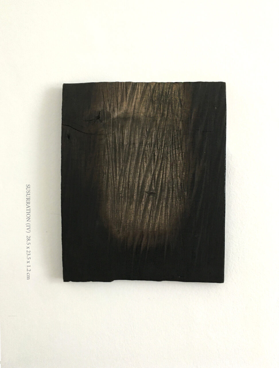 SUSURRATION (IV) 2023, carbon, walnut ink on walnut, and ultra-black resin, 28.5 x 23.5 x 1.2 cm