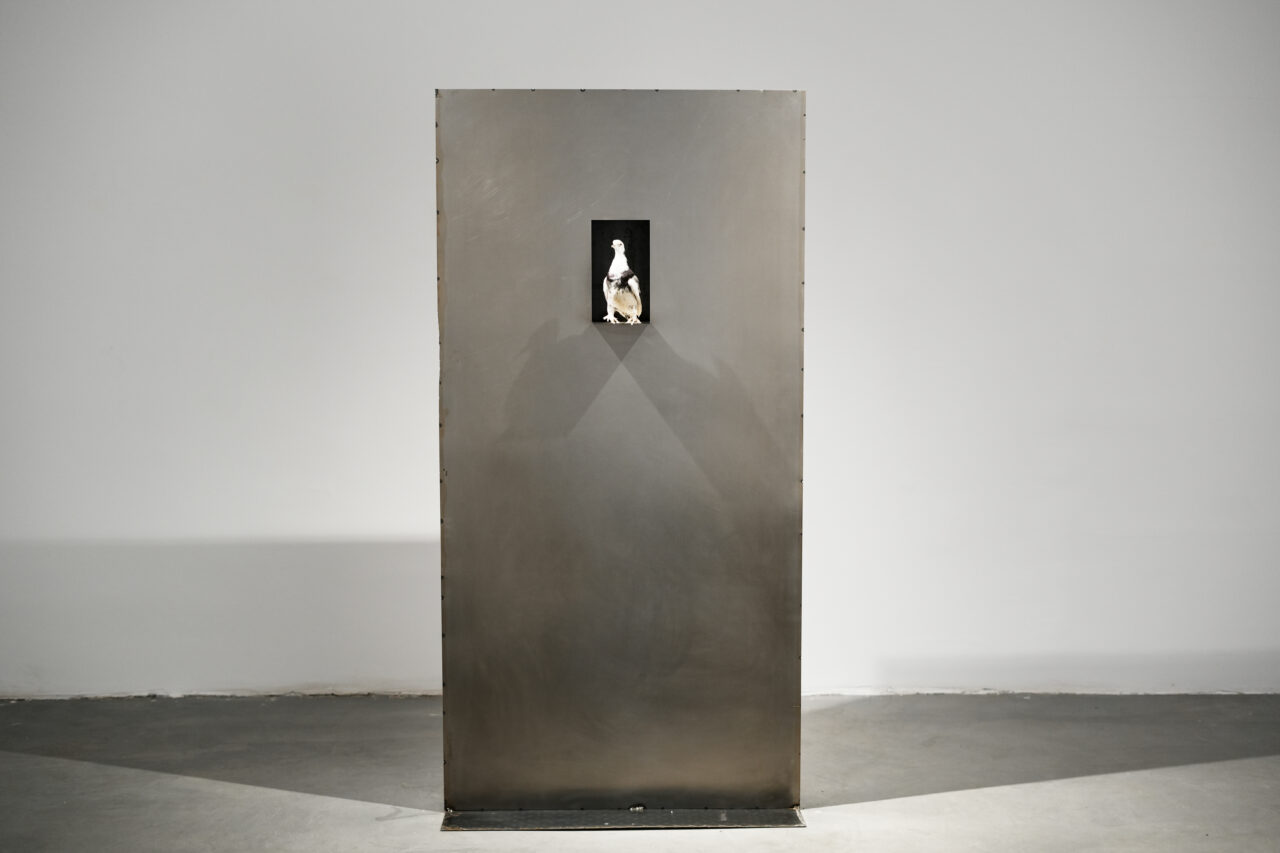 Ismet Jonuzi | Profil Image 15