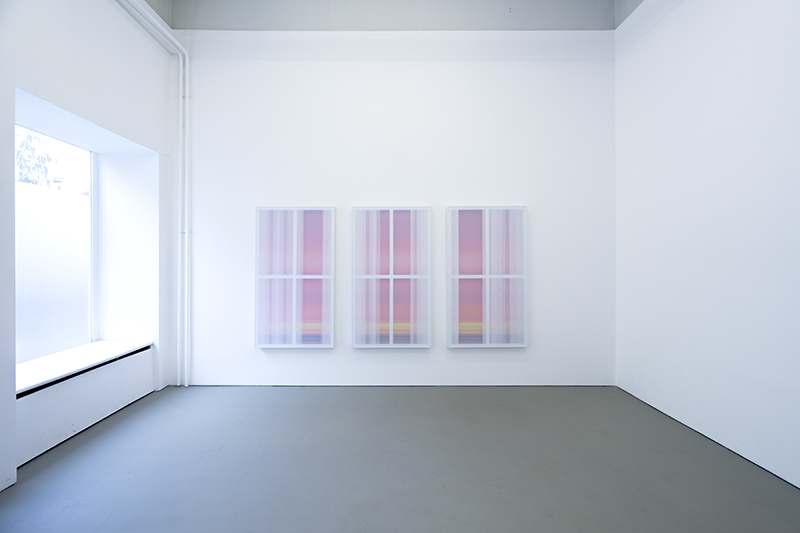 Sights, Installation view at Å+, Berlin (DE), Untitled (VWS240428PS), Acrylic on wood, transparent polyester fabrics, 160 x 90 x 9 cm each, 2024