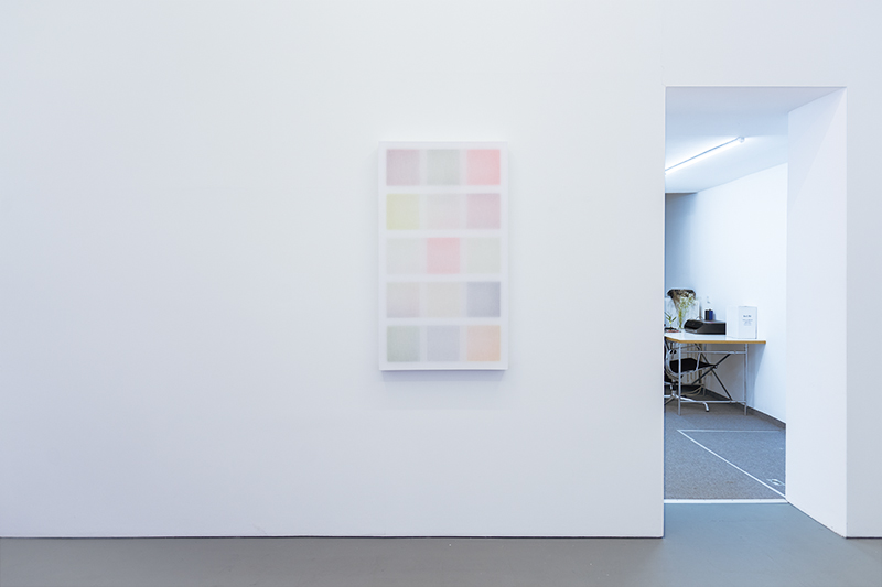 Sights, Installation view at Å+, Berlin (DE), Untitled (15/3/1), Acrylic on wood, transparent polyester fabrics, 115 x 65 x 9 cm, 2024