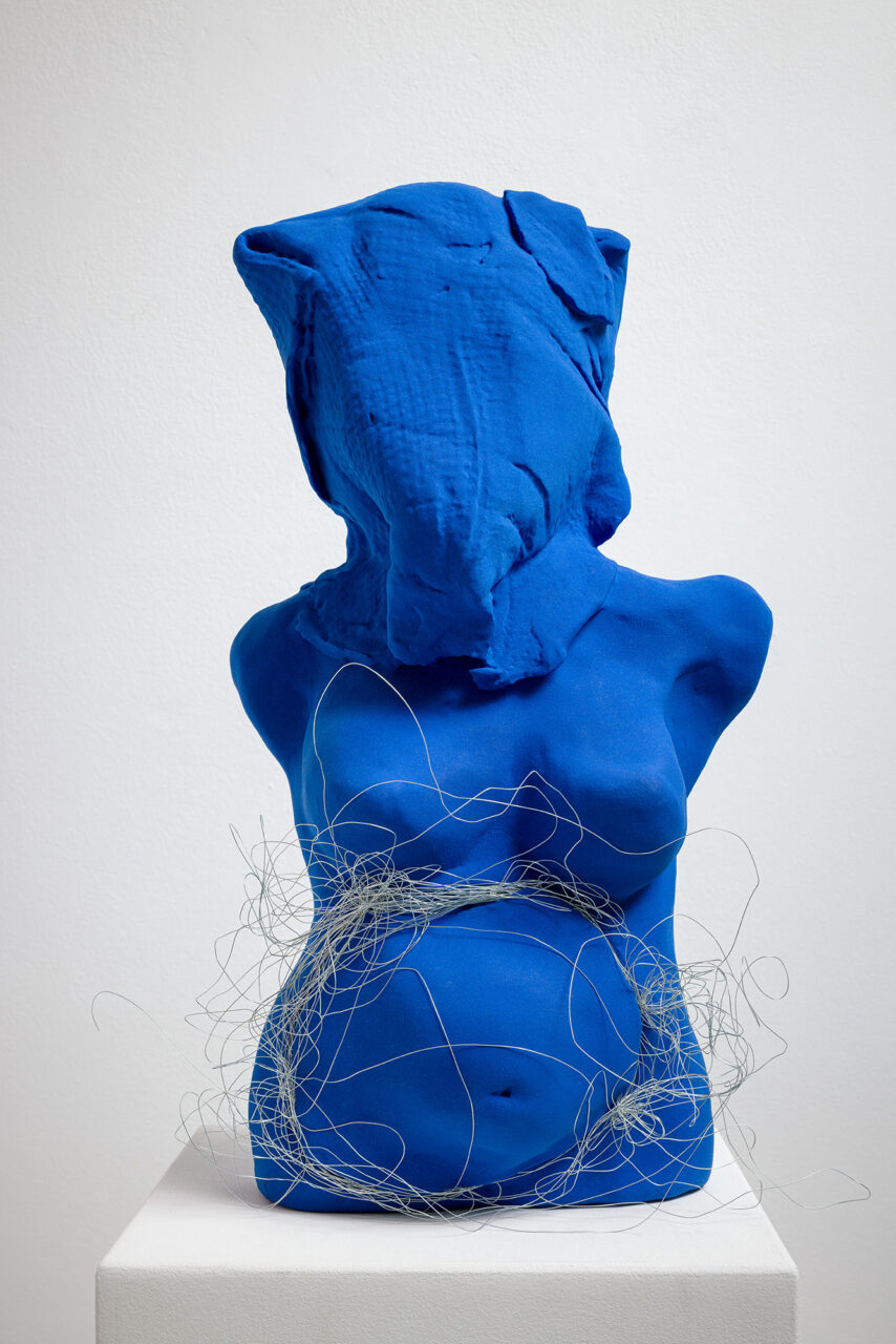 Dévoilée | Patricia Dreyfus | available artwork