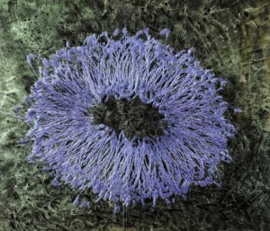 Blue form flying over a meadow (251901/1975) | VOLKER W. HAMANN | available artwork