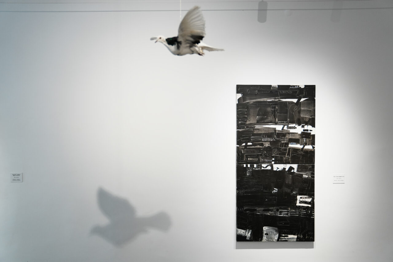 Ismet Jonuzi | Profil Image 19