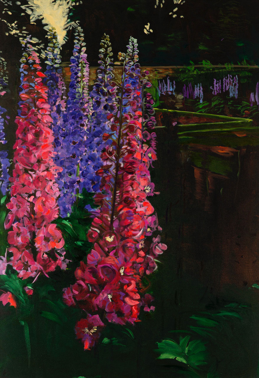 Rittersporn | Caroline Weihrauch | available artwork